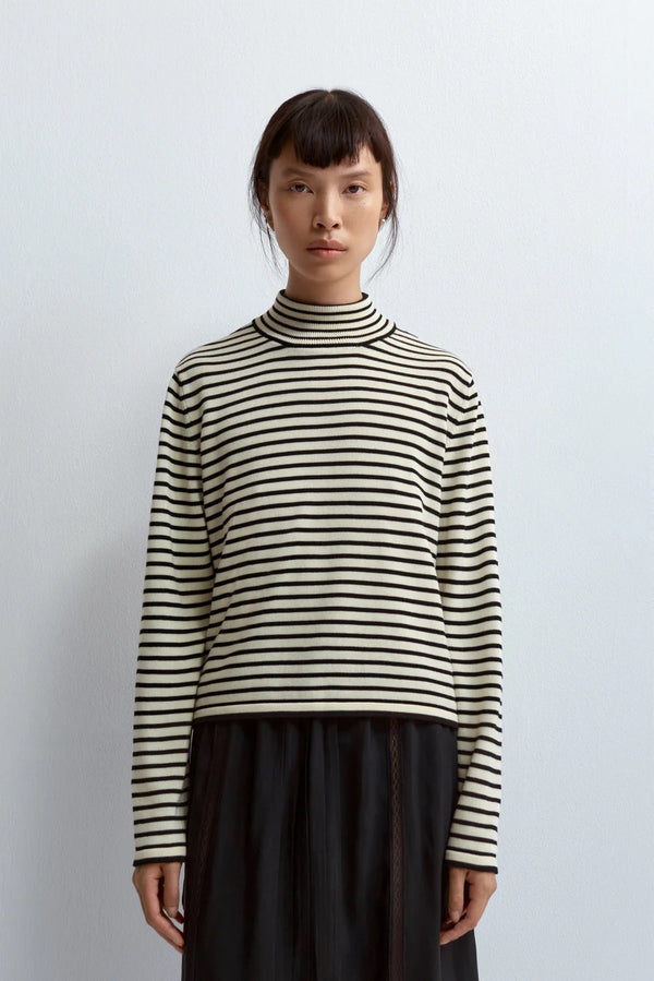 Cordera Cotton Striped Turtleneck Sweater