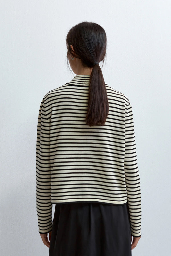 Cordera Cotton Striped Turtleneck Sweater