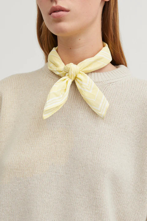 Skall Small Classic Scarf in Yellow or Blue
