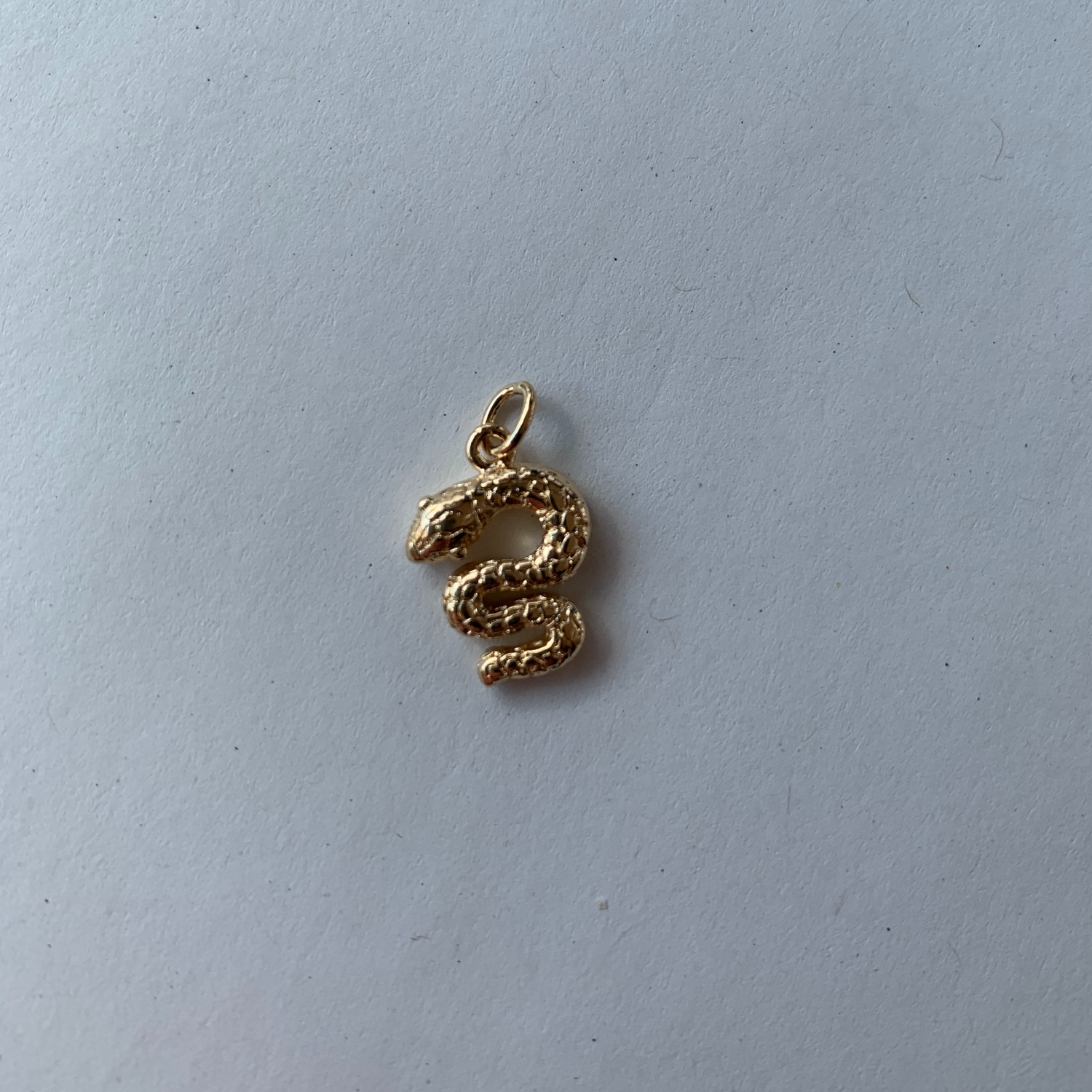 Snake Charm