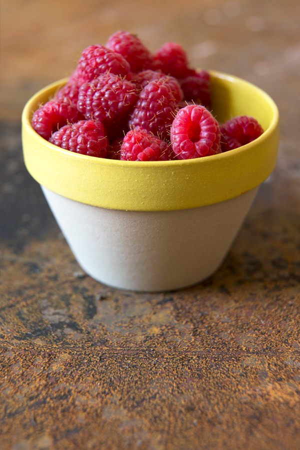 Manufacture de Digoin Bowl